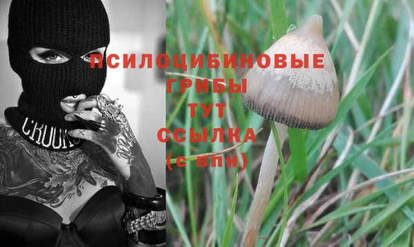 ALPHA PVP Вяземский